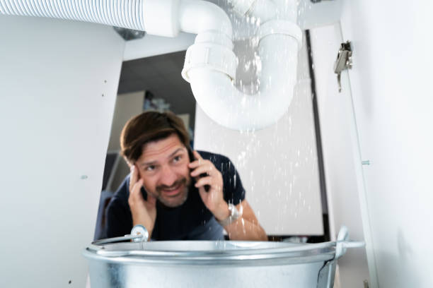 Best Plumbing Inspection Services  in Lemont, IL